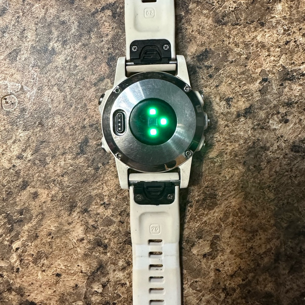 Garmin fenix 5s